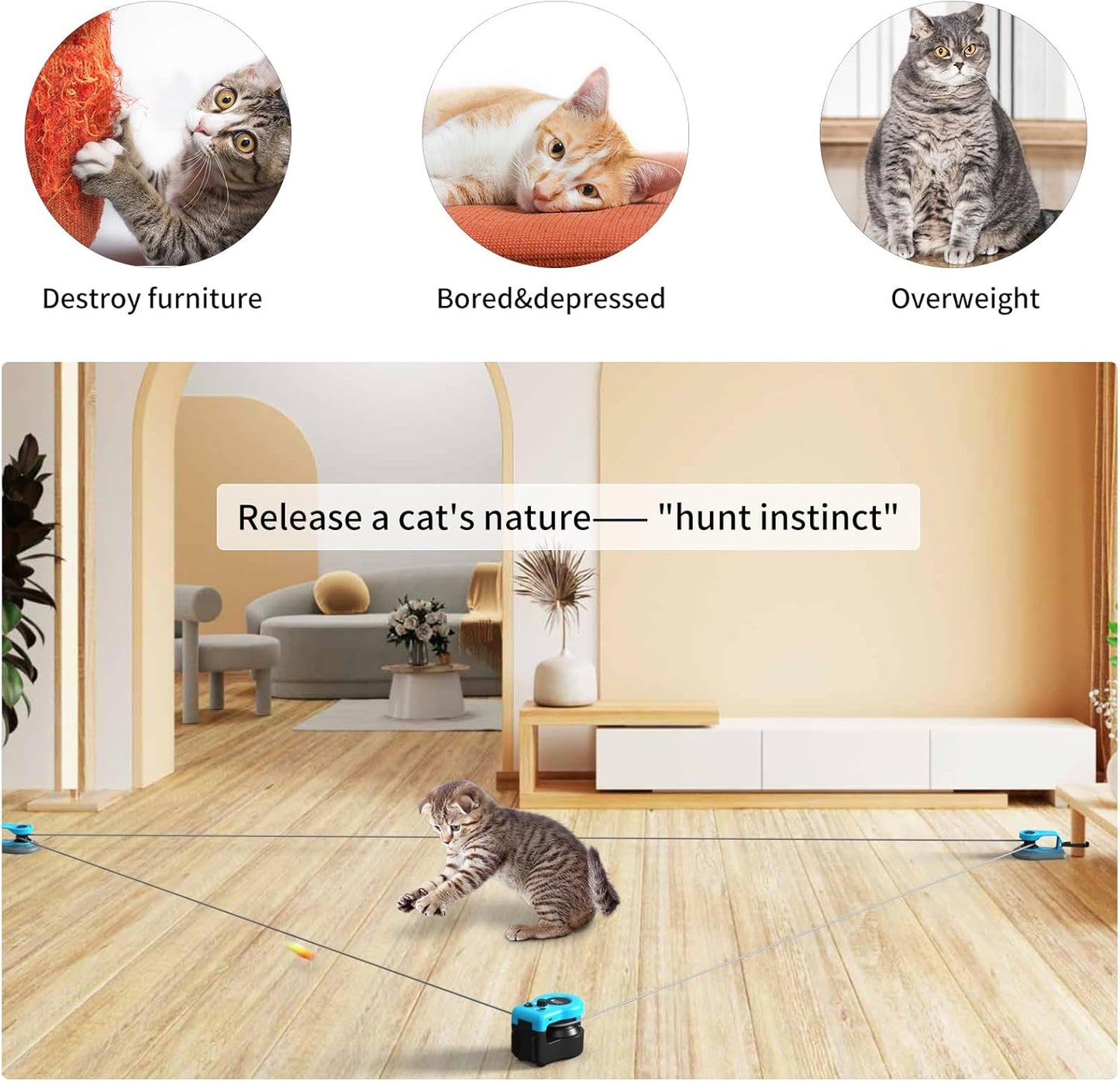 The Running Cat Toy